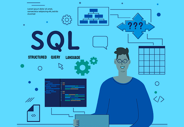 Education, SQL Developer Course