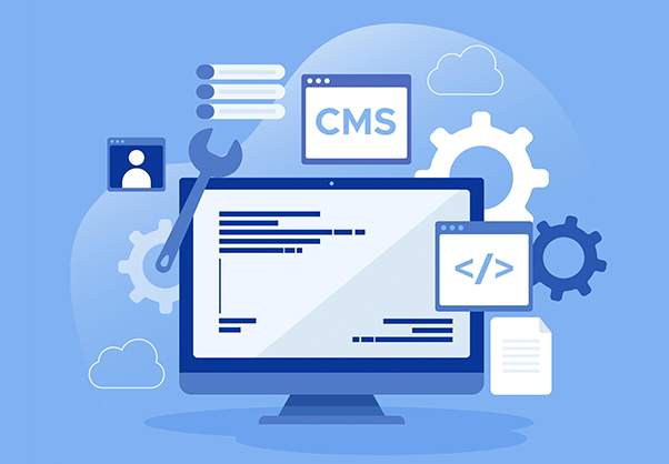 Education, Dot Net Developer, C / C++ / C# Programming Course